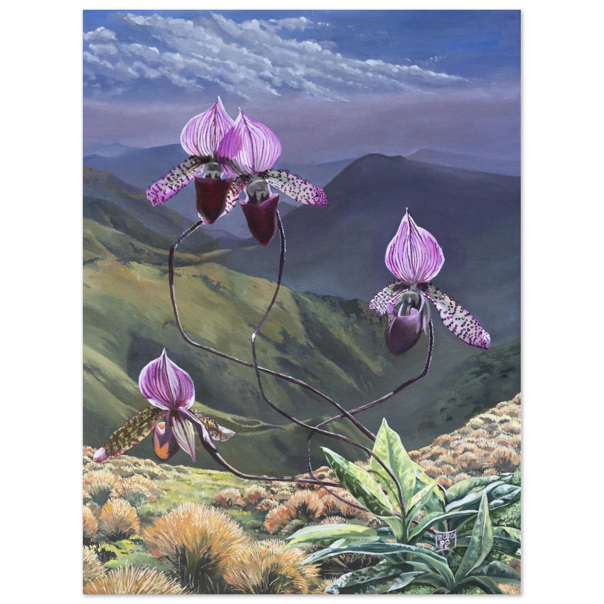 13d1589e-727e-4078-a3c0-c964a4429645