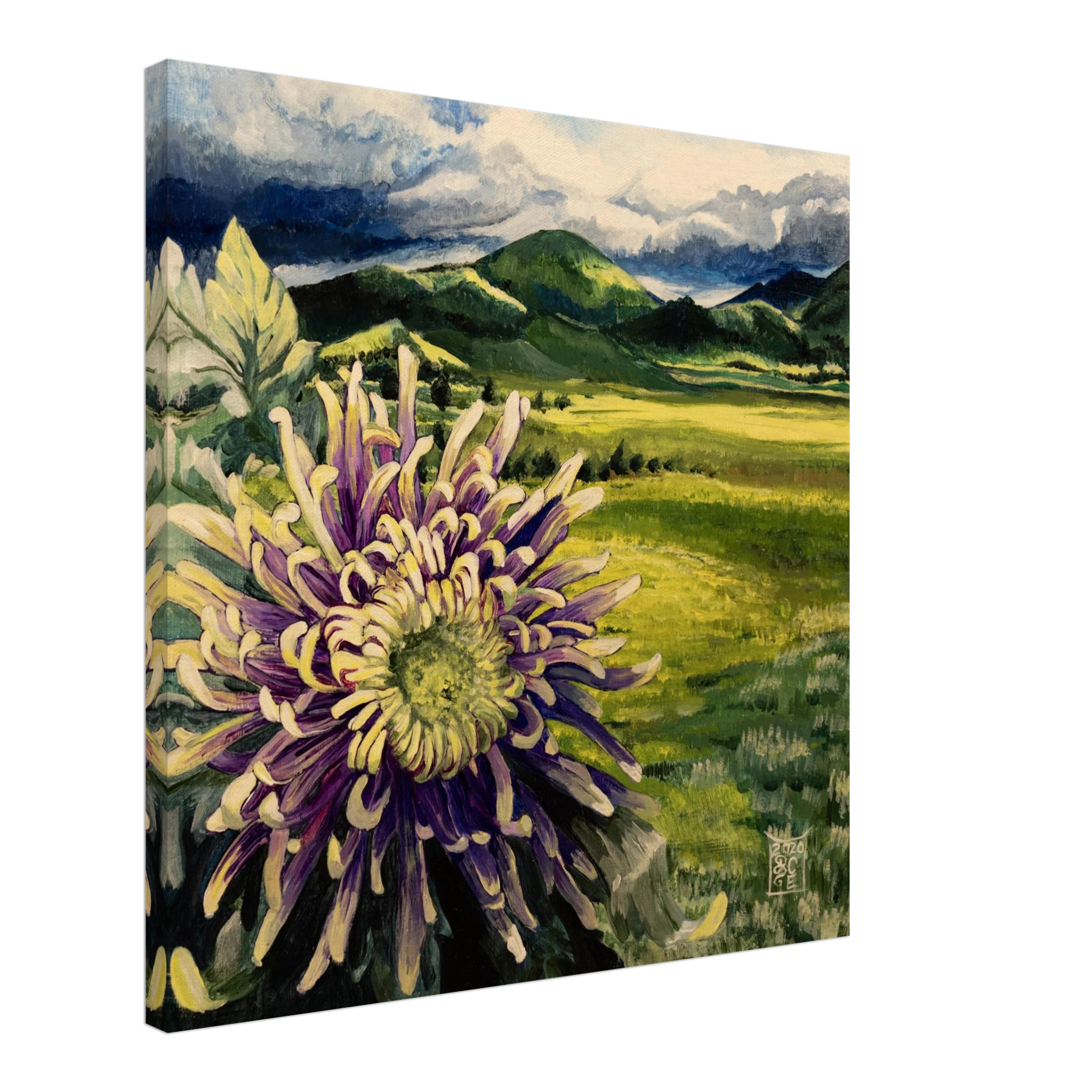 1ffdd3b1-a4ff-4fa8-864e-c06d1efab0e6