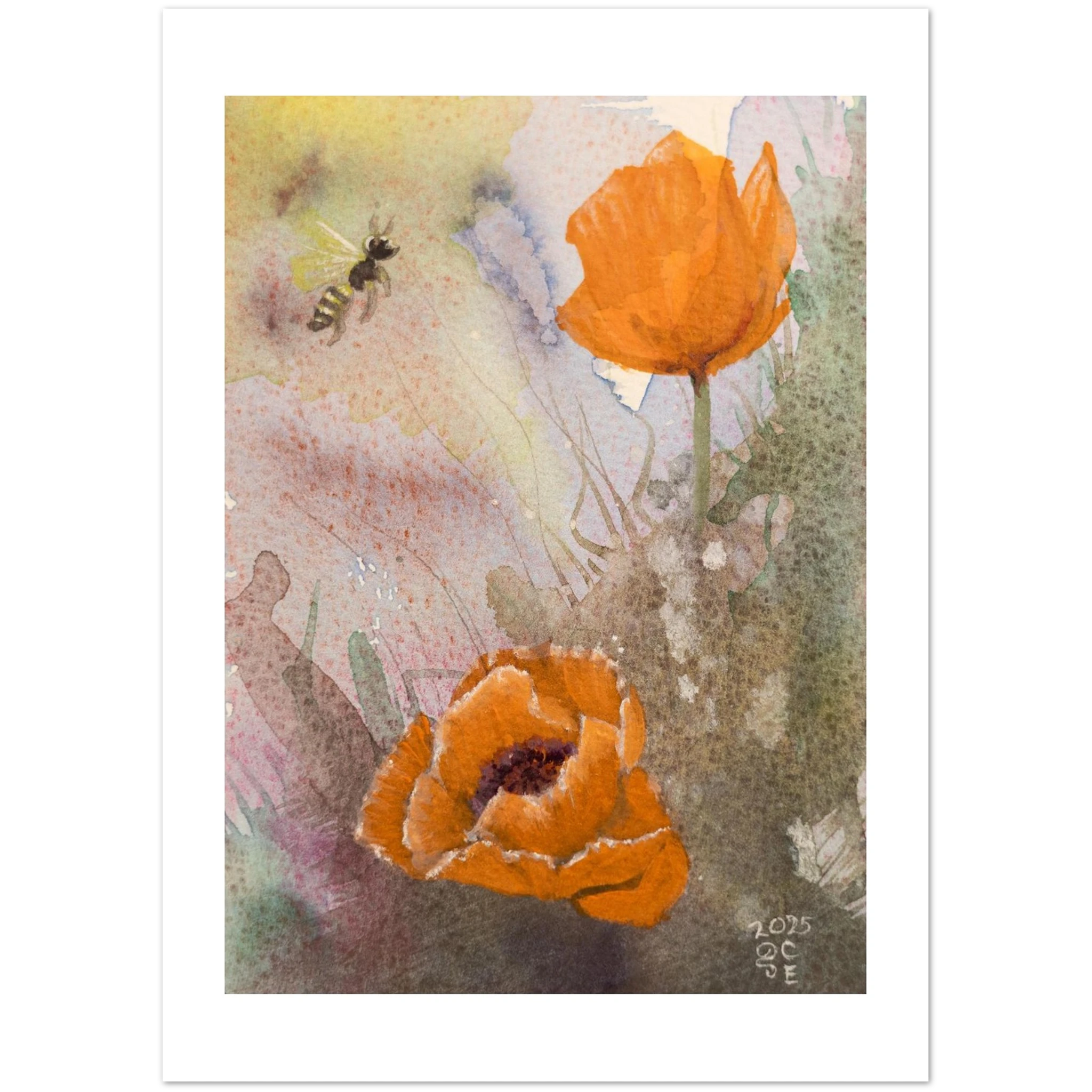 224bafdf-b26f-4622-9e93-0f494c6be00d