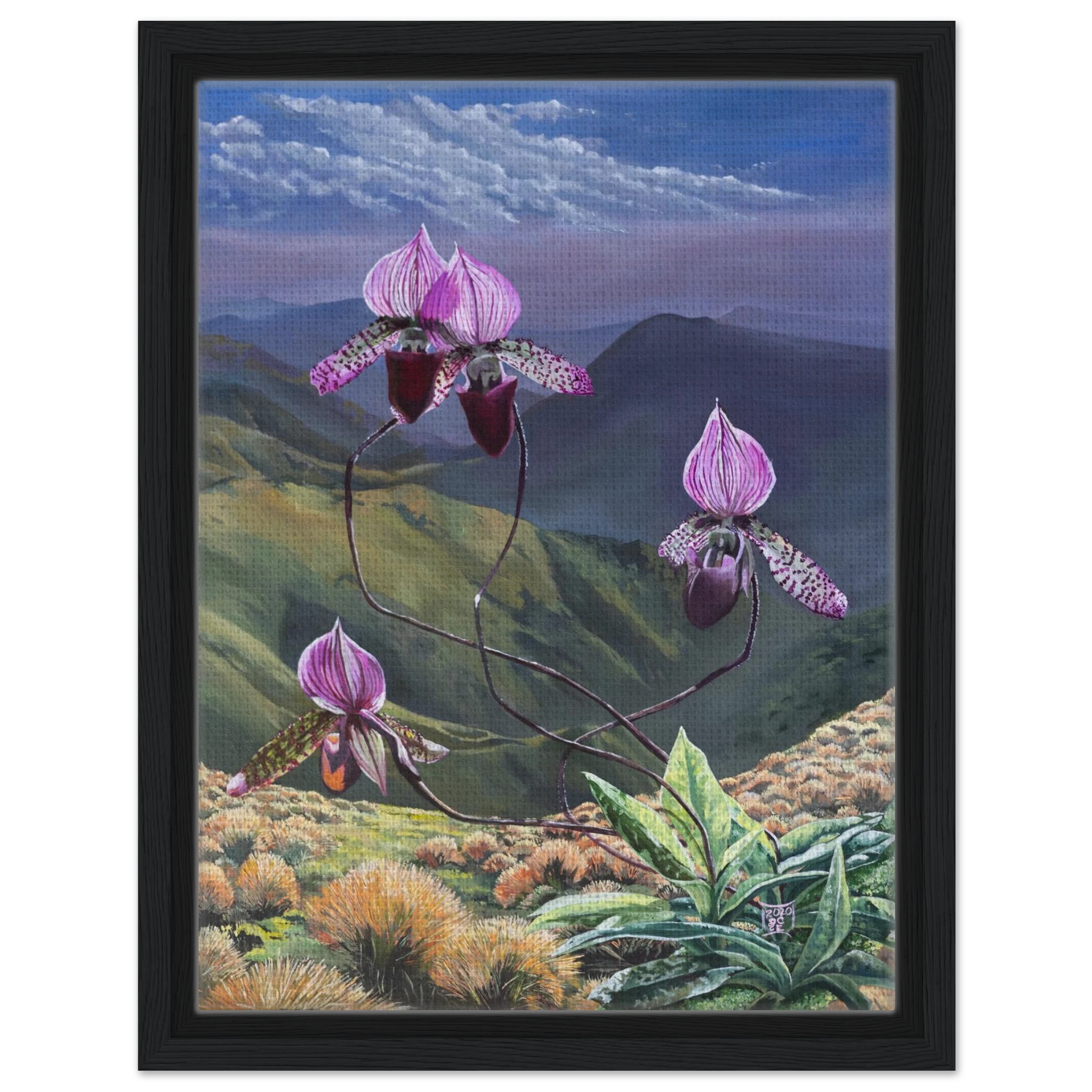 27e4772b-b3ca-498b-9589-6205fc915734