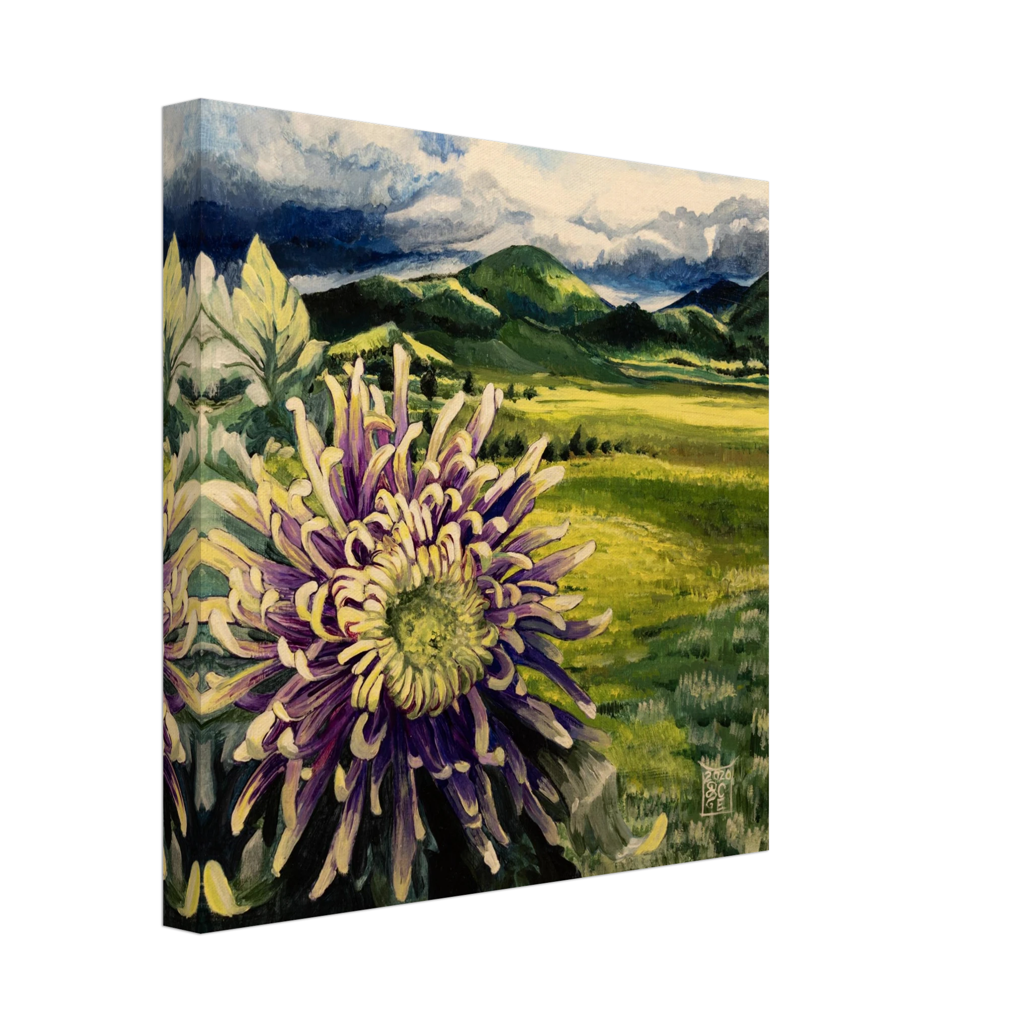 2a849e29-0aa4-4afe-913a-fc30886402fd