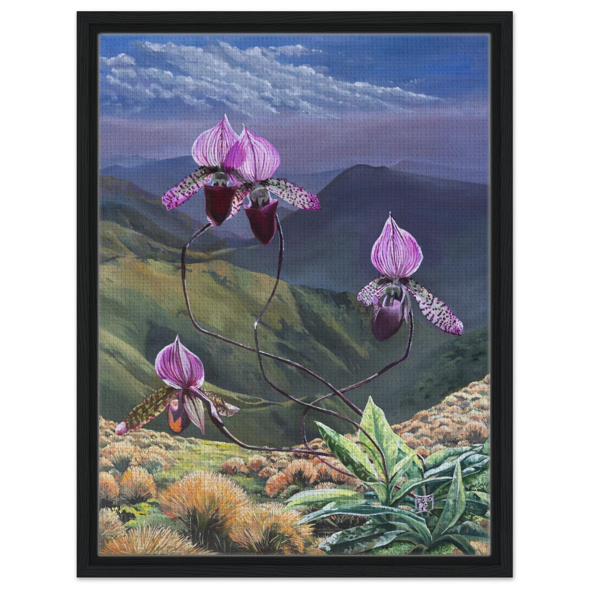 35051276-b87e-49ec-bd19-32be71c0e830