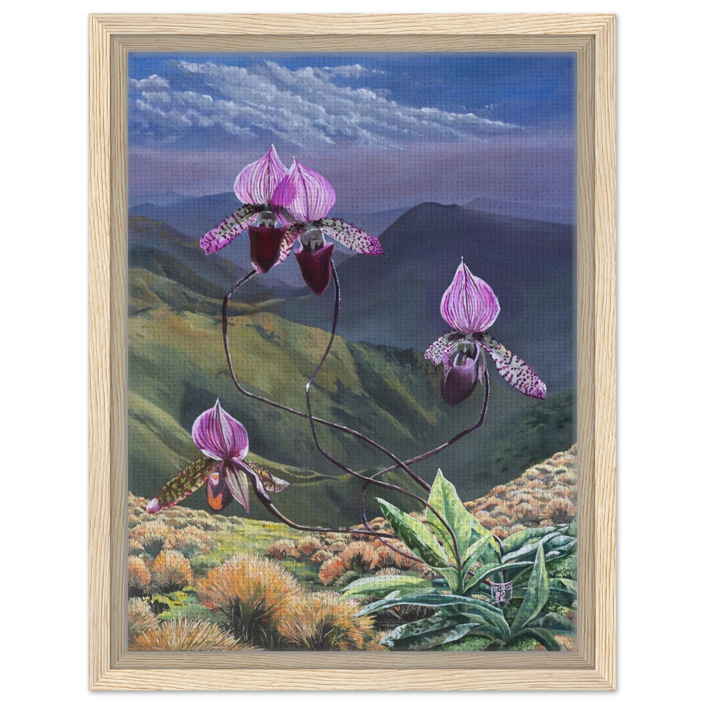 55113de6-646c-46b2-b94e-9d7acc45102e