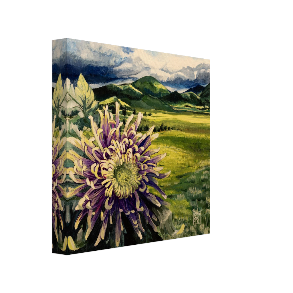 5fb2c874-bf14-4fee-bfb4-742fc4a094bb