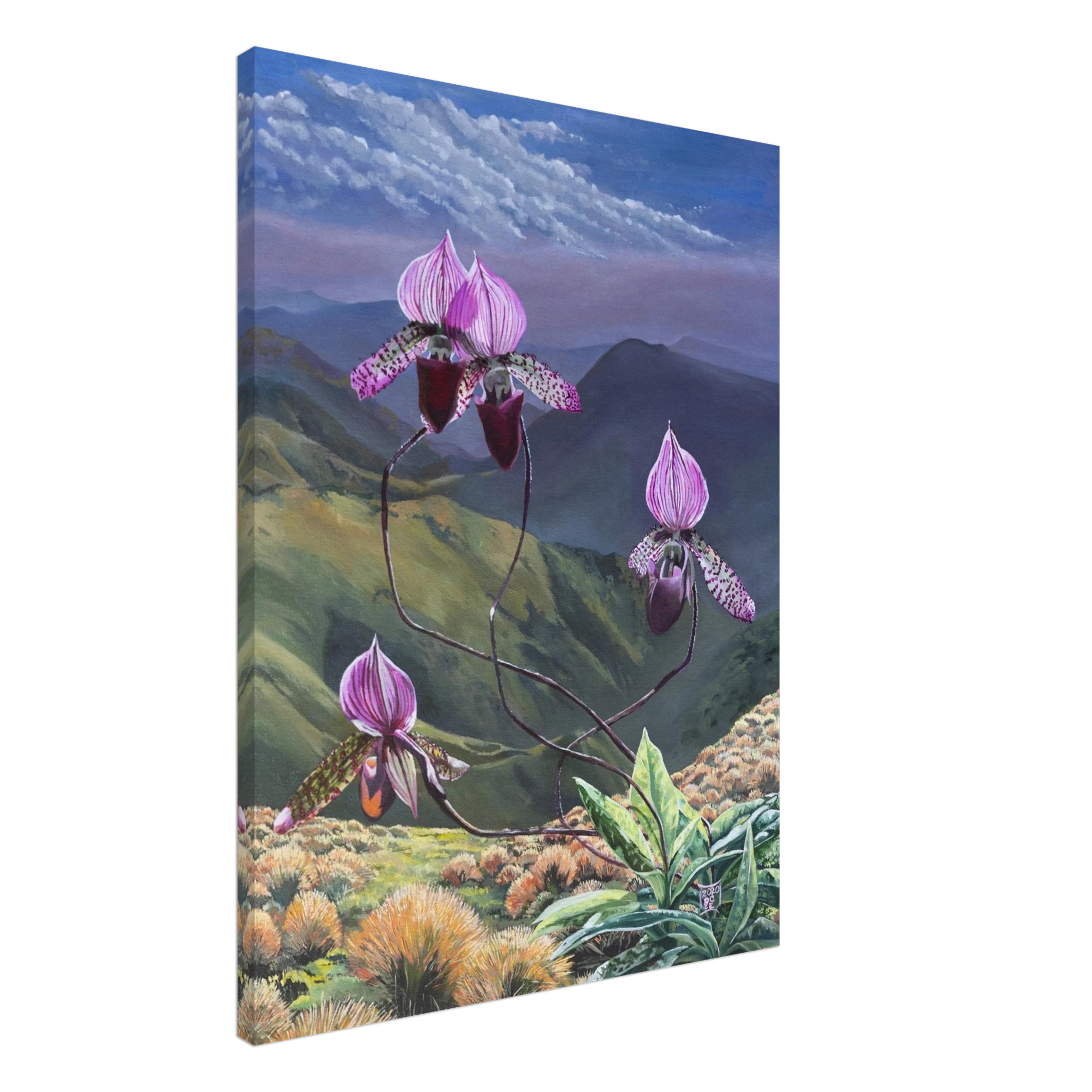 76ac2800-6967-43df-b036-1dc9469a1a73