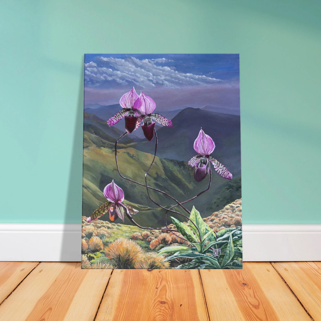 8d498343-9d4d-4994-b0f9-1fafc7782896