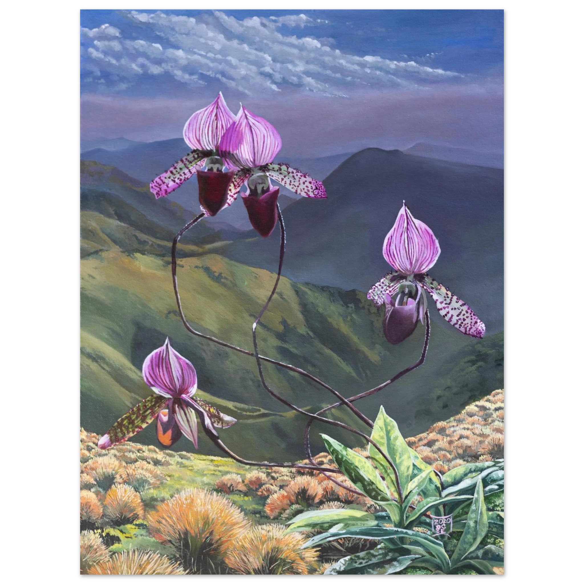 8f284a7a-5e43-4baa-abad-28640b53c56c