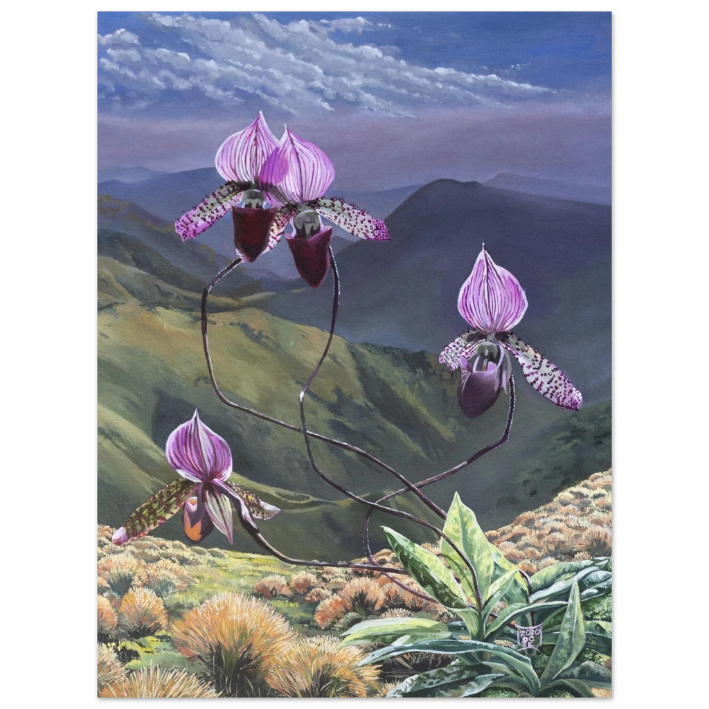 90e2d0a1-f4f3-4e50-b899-de8b7b718848