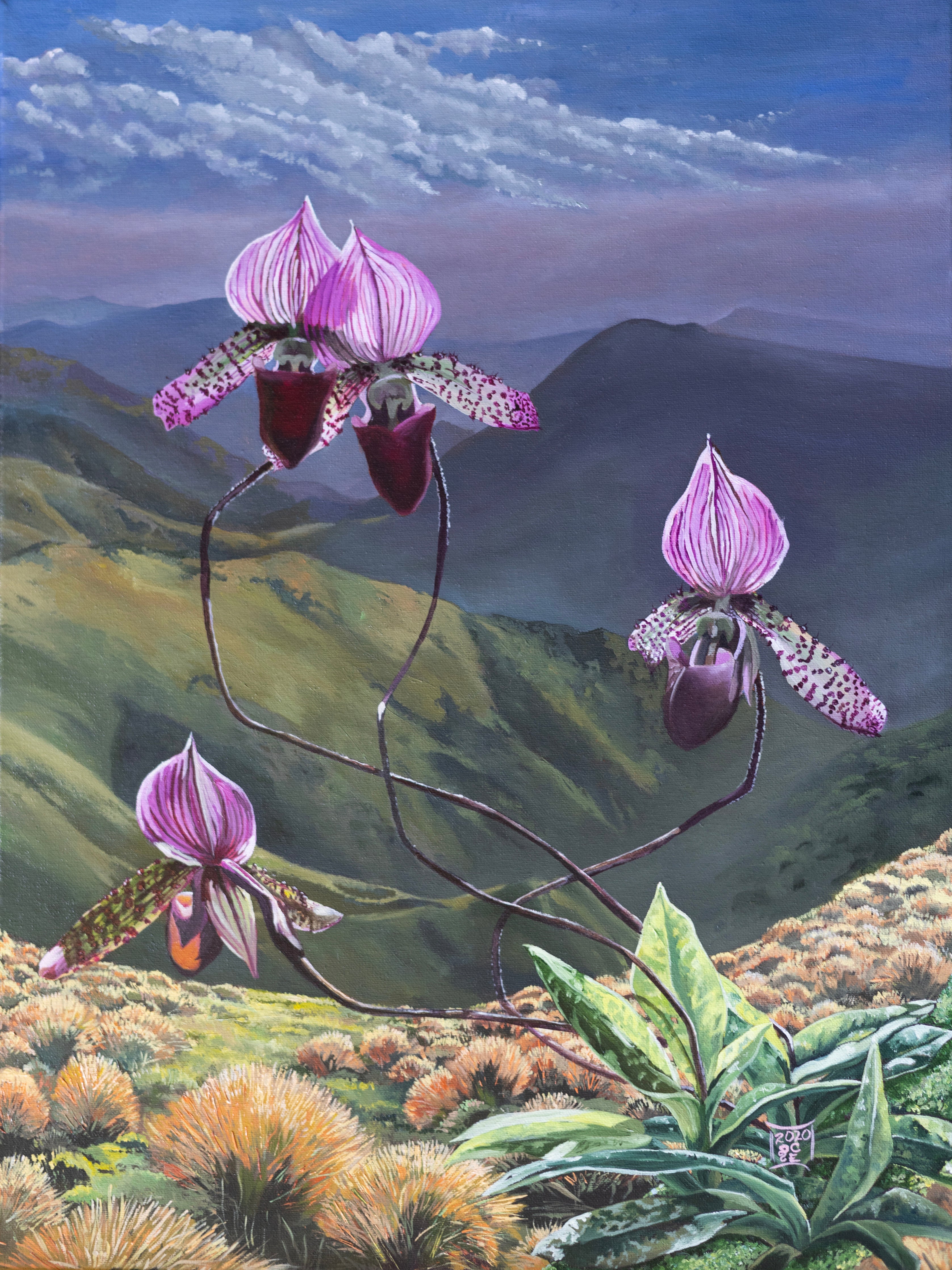 Backlit Orchids Framed Canvas Print-Home Decor Framed Canvas