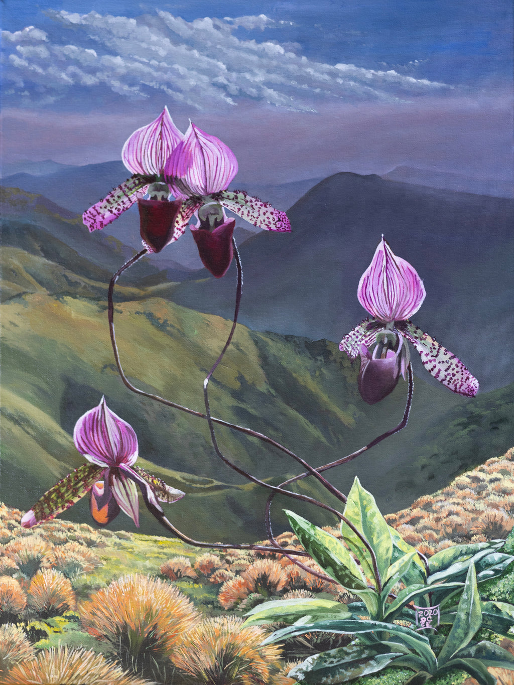 Backlit Orchids Framed Canvas Print-Home Decor Framed Canvas