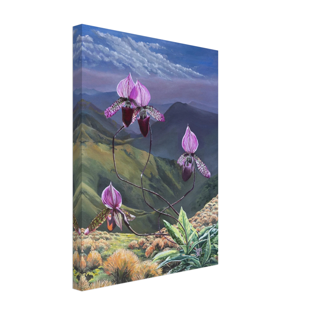 ae1aad8f-75ea-49c6-950e-183836bb0656