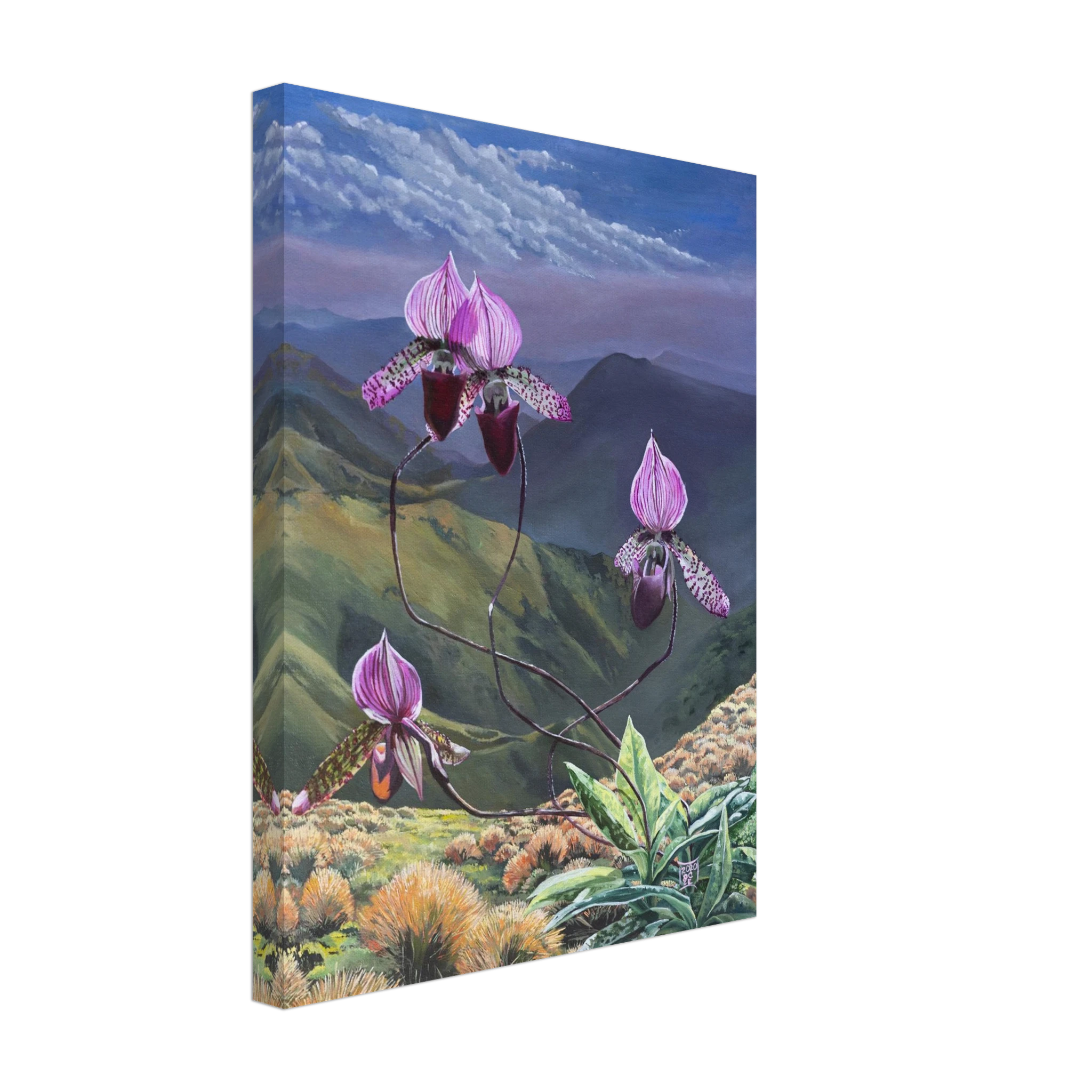 ae1aad8f-75ea-49c6-950e-183836bb0656