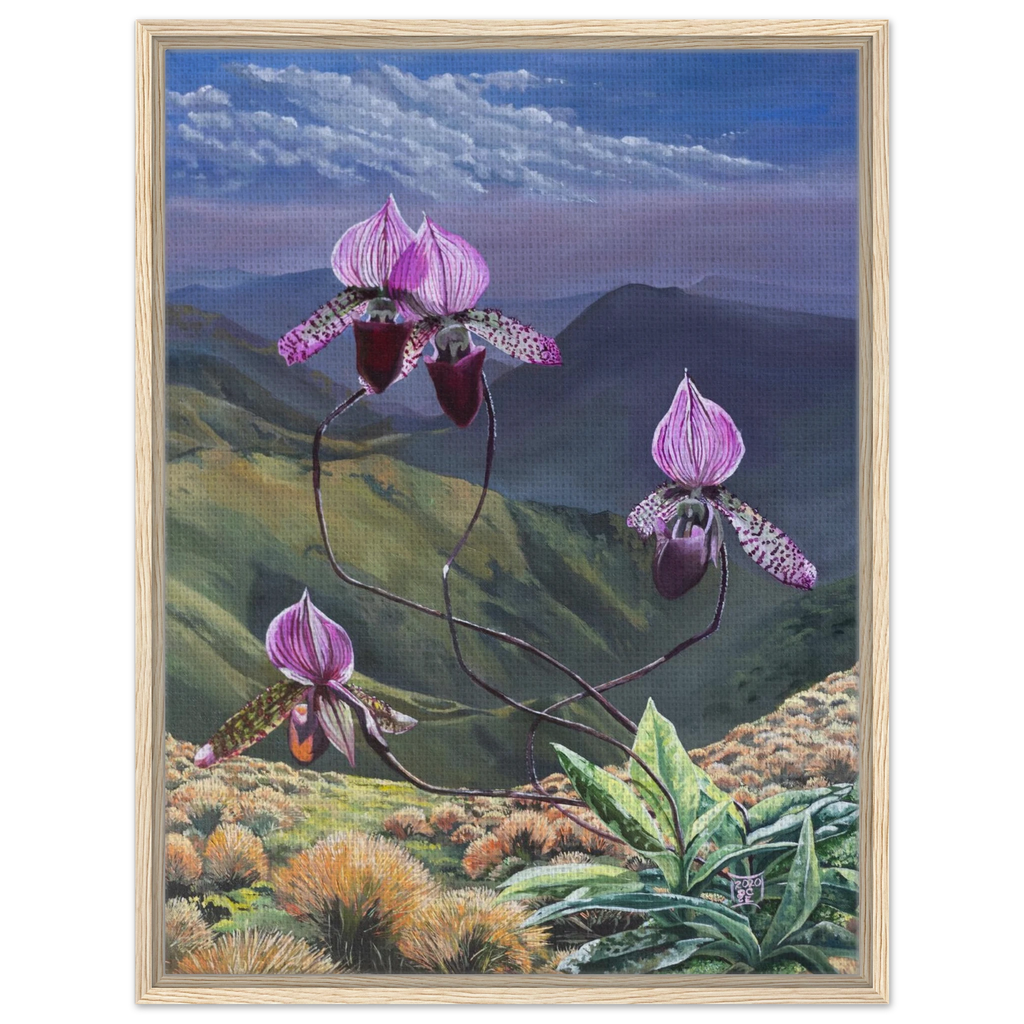 af2ad023-2c88-4353-859a-1cc8d1e6237a