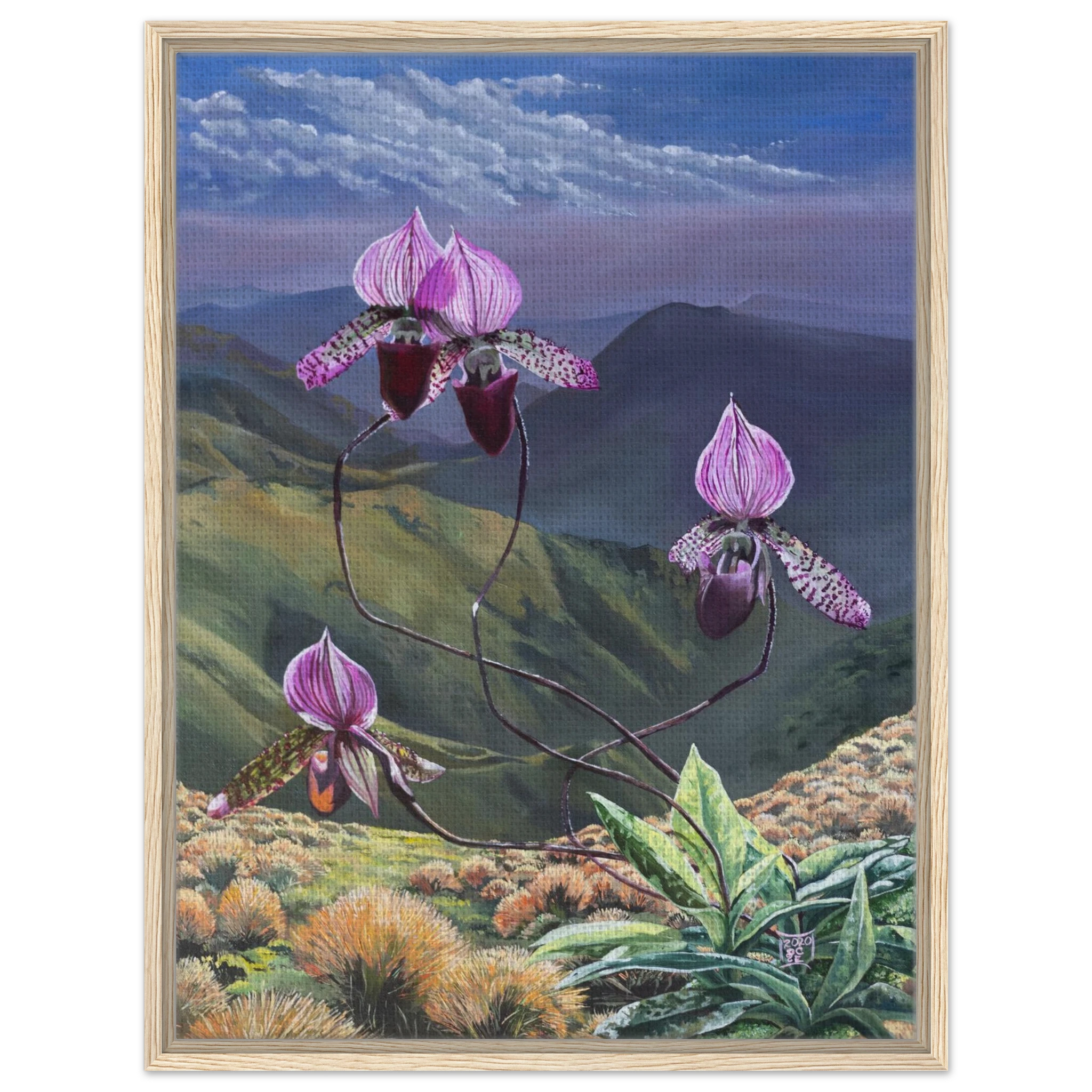 af2ad023-2c88-4353-859a-1cc8d1e6237a