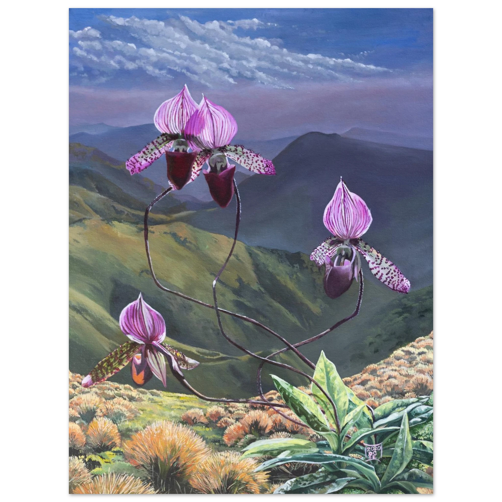 c30c813f-61c1-4743-a8a7-8e2001e95c9d