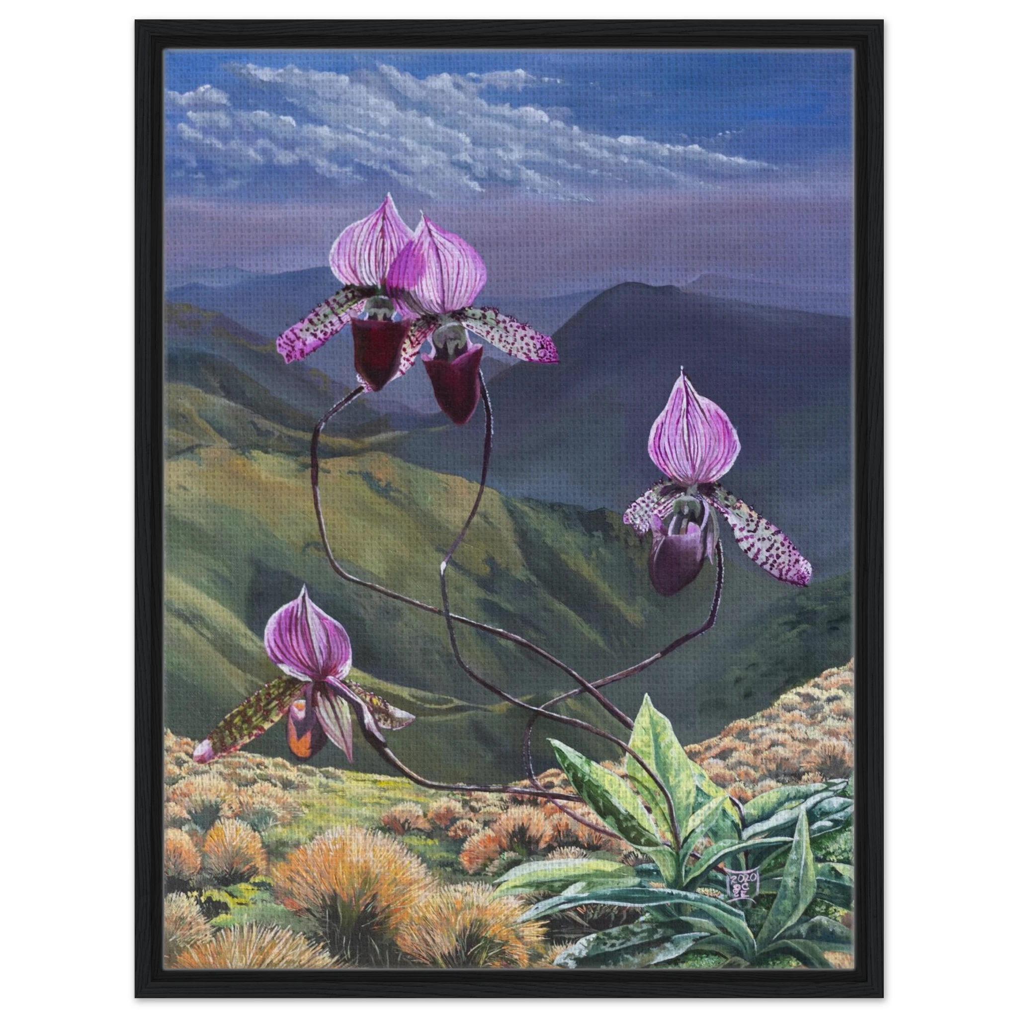 db9d6e5b-544d-45e4-af97-16578db7f047