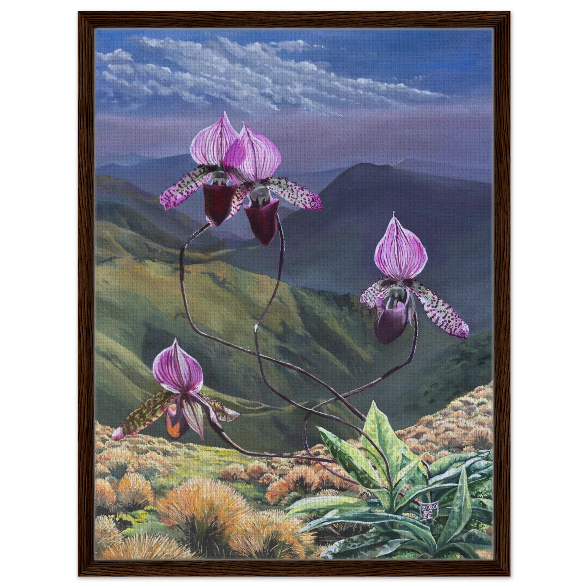 e66cf8d8-7afe-471d-8cbf-096ef6b59409